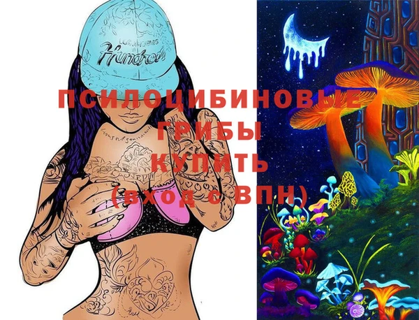 прущая мука Арсеньев
