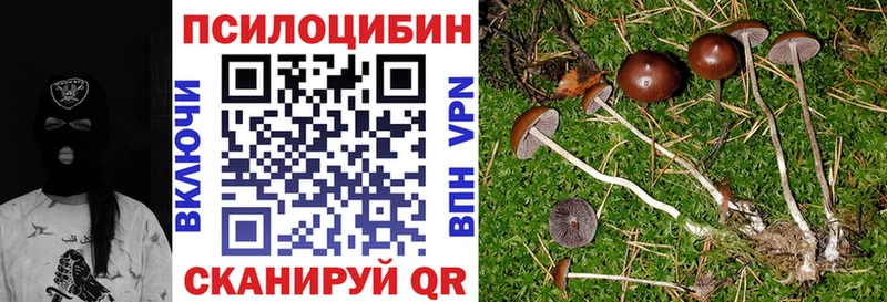 Галлюциногенные грибы MAGIC MUSHROOMS наркотики Солигалич