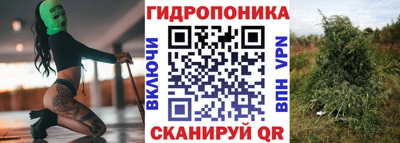 Бошки марихуана Amnesia Солигалич